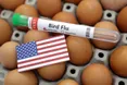 У США різко подорожчали яйця: країна звернулася до Данії