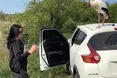 Своє житло бузьки передають молодим лелекам у спадок