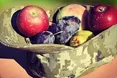 Львів'ян запрошують допомогти зібрати фруктовий кошик для військових