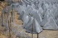 Литва вирішила скерувати понад мільярд євро на оборону кордонів