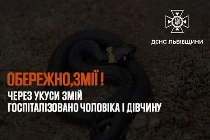 Фото: ДСНС Львівщини