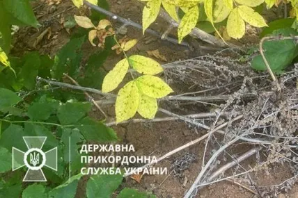 Фото: ДПСУ
