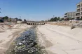 Лихоманка денге та голод стрімко поширюються у світі: причини