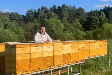 Зразки мертвих бджіл пасічник Василь Целюх скерував у три лабораторії.