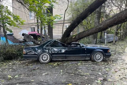 Фото: тг-канал "ЧП Крым"