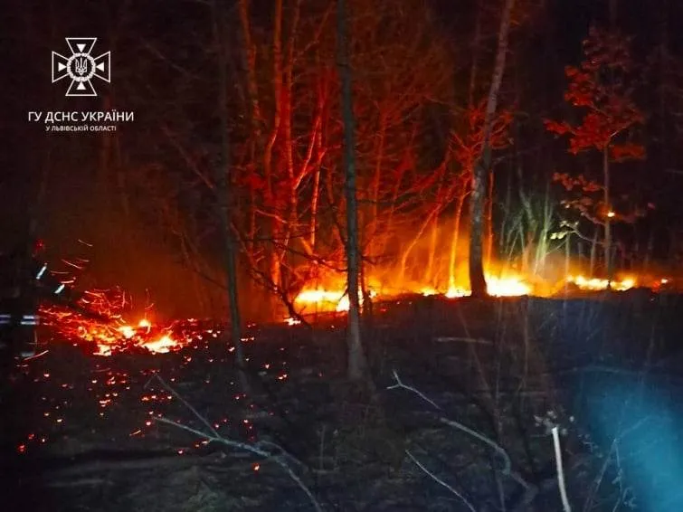 Такі сумні картини можна спостерігати нині біля багатьох населених пунктів. Фото ГУ ДСНС у Львівській області.