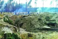 Полісся перетворюється на зону відчуження...