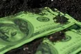 "Мораторій на продаж сільгоспземель має бути знятий"