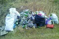 Під час толоки школярі зібрали 500 пляшок з-під горілки