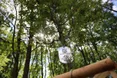 У Львові створять алею пам’яті Героїв Нацгвардії