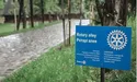 І стане Україна дібровою