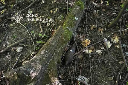 Фото: Головне управління ДСНС України у Львівській області