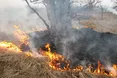 Весна. За роботу беруться палії…