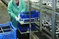 «Тут купа комор, у яких гриби з жахливими хворобами...»