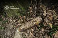 На Львівщині знайшли небезпечні боєприпаси: деталі