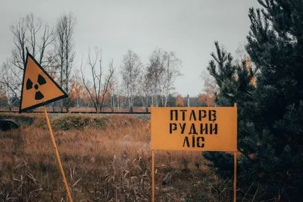 Загін "Світлячок": підбірка мемів про Рудий ліс