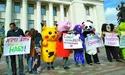 Битва за ревізорів