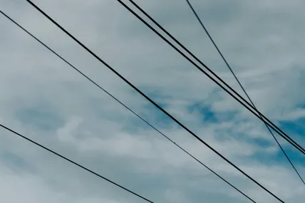 Фото ілюстративне із сайту Pexels
