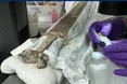 У Британії знайшли давній англосаксонський меч