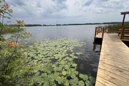 За аудіосупровід під час прогулянки відповідальні зяблики, горихвістки та синички