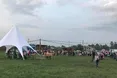 Як у Новому Місті обжинки по-ковбойськи гуляли