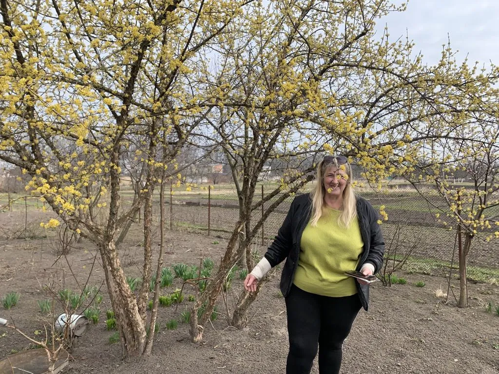 Руслана Сухорська єдина у Львові, яка вирощує еустоми.