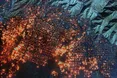 Масштабні пожежі у США тривають (ОНОВЛЕНО)