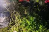 На Львівщині під час гасіння пожежі в закинутій будівлі виявлено тіло 48-річного чоловіка