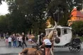Кінь не знепритомнів, а заплутався в упряжі