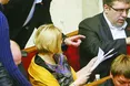 В «УДАРі» думають, що парламент сам має зробити собі «харакірі»