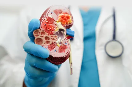 Фото National Kidney Foundation