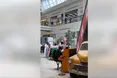 «Коли бачу фортепіано, мушу зіграти…»