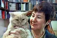 Котик, який піднімав настрій мільйонам