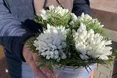 Букет підсніжників із Свіржа — 30 гривень