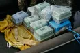 ЕваКОТИзація з острова Зміїного