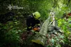Дерево вбило чоловіка у Стрийському районі