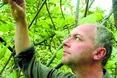 Ківі з кримінальним присмаком