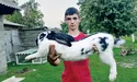 У 17 років доглядає ферму