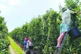 За місяць нелегкої роботи — лише один вихідний