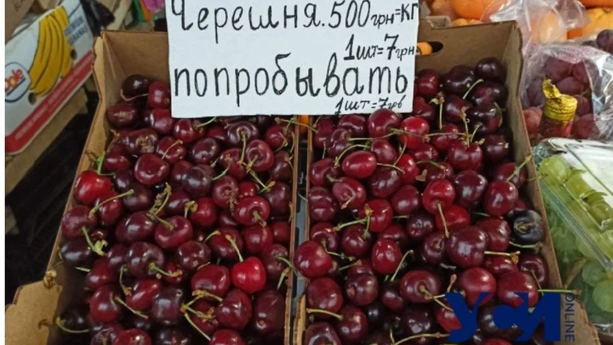 скріншот USI.online