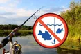 Щоб було комфортно рибі й риболовам