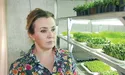 Вирощує мікрозелень та доглядає перепілок