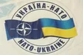 Україна сама здатна вирішити, вступати чи не вступати їй до НАТО