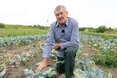 Щосезону — по кілька врожаїв