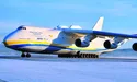 Така красуня, просто «Мрія»!