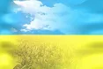 Україна святкує 23 річницю незалежності