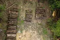 У Бразилії вирубують амазонські ліси: причина