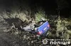 На Львівщині в ДТП травмувалась чотирирічна дівчинка