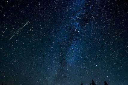 Фото з сайту pexels