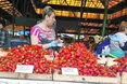 Полуниця вже по 20 гривень! У червні прогнозують 15